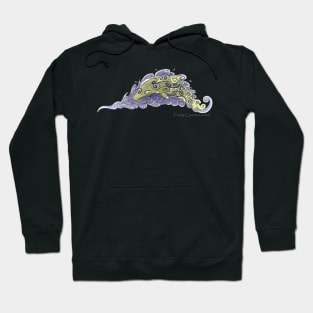 Dolphin Countercurrent Hoodie